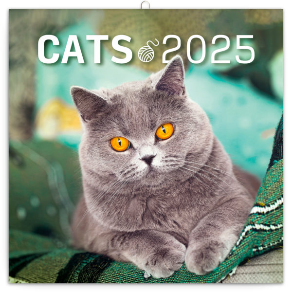 poznamkovy-kalendar-kocky-2025-30-30-cm-394340-43-600x600
